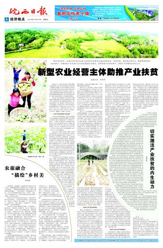 2018年10月19日5/8&nbsp&nbsp